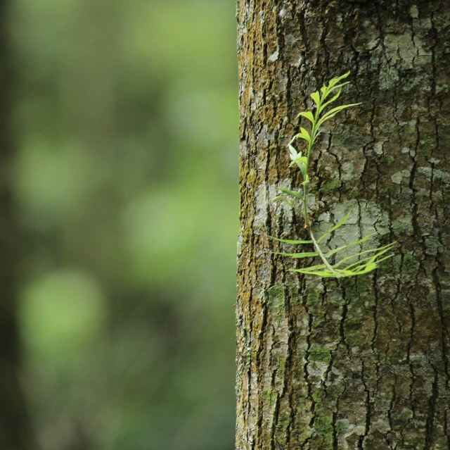Démarche et Culture d'entreprise RSE